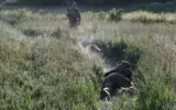 Brezhnev great-grandson captured fighting for Russia in Ukraine
