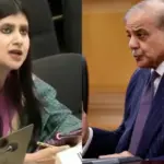 India slams Pakistan at UN, calls it a 'Frankenstein state' over terrorism