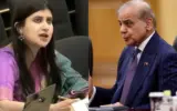 India slams Pakistan at UN, calls it a 'Frankenstein state' over terrorism