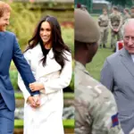King Charles and Prince Harry in a hopeful reconciliation setting.