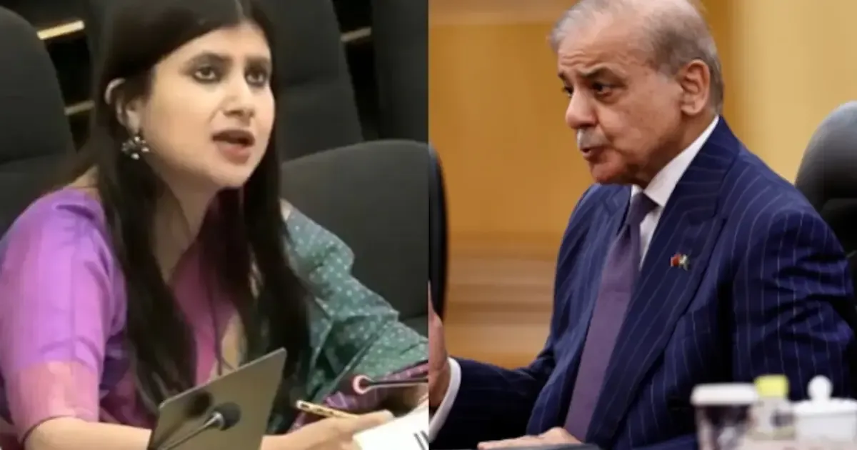 India slams Pakistan at UN, calls it a 'Frankenstein state' over terrorism