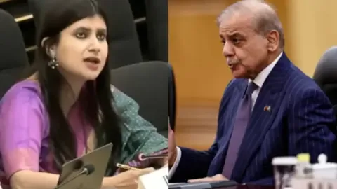 India slams Pakistan at UN, calls it a 'Frankenstein state' over terrorism